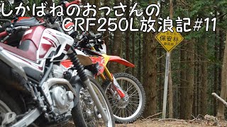 【BIKE】しかばねのおっさんのCRF250L放浪記#11【ツーリング】セローおじさんと行く林道。しかばね氷原に散る!?