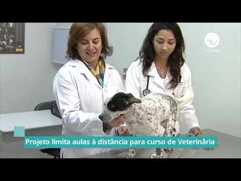 Projeto limita aulas à distância para curso de veterinária - 07/10/21