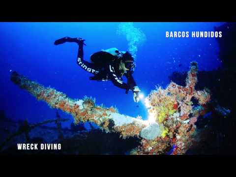 Wreck Dives cancun