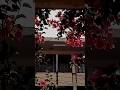 Ik Lamha Aaram Aata Hai ️‍ 🫶 Azaan Sami Khan Trending Viral Shorts​ Arijitsingh​