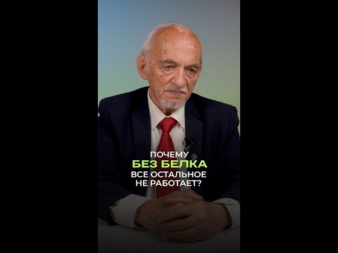 💪 Почему без белка всё остальное не работает