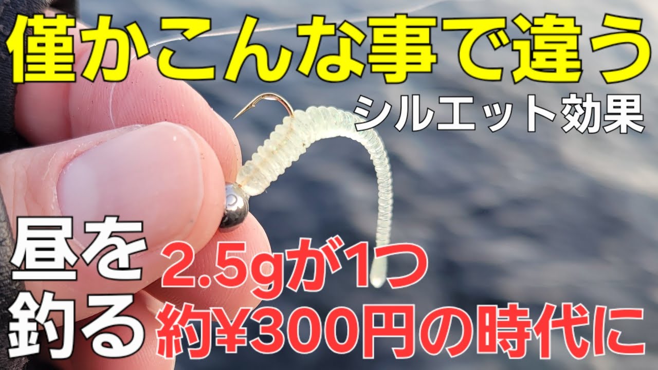 【アジング】超高価なジグ単で良型アジ連発。僅かこんな事で…！デイアジング攻略