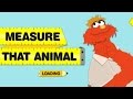 Sesame Street Measure That Animal Murray Online Game For Children