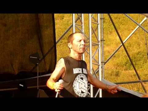 ZIELONE ŻABKI - Kultura