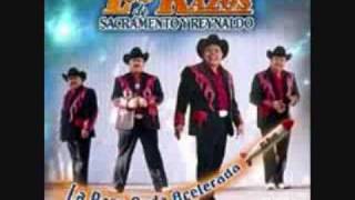 la raza anda acelerada