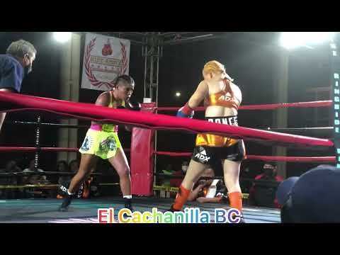 Box profecional Dana la tusita Ponce vs la diamante negro