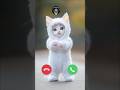 Cute Cat Troll Face Calling Ringtone Cutecat Cat Call Cutebaby Smartphone Catlover Ringtone