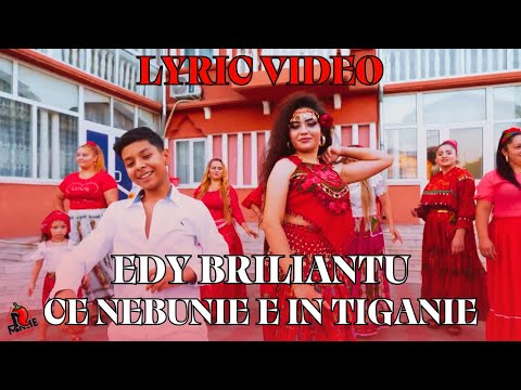 Edy Briliantu - Ce nebunie e in tiganie (Lyric Video) | Manele Piperate