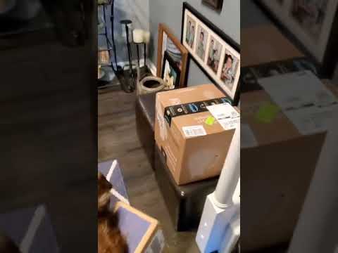 Stuntman Mike reminds me of those fish that hang out with sharks for the scraps lol #stuntmanmike