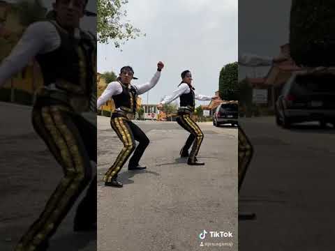 Chuntaro Style Mariachi Gama 1000