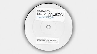 Liam Wilson - Always With Me (Mix Cut) video