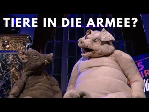 More weapons, more peace? | The pigs Steffi and Torsten