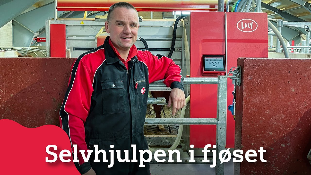Selvhjulpen i melkekufjøset