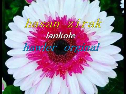 hasan zirak  lankole  hawler  nuskhaya