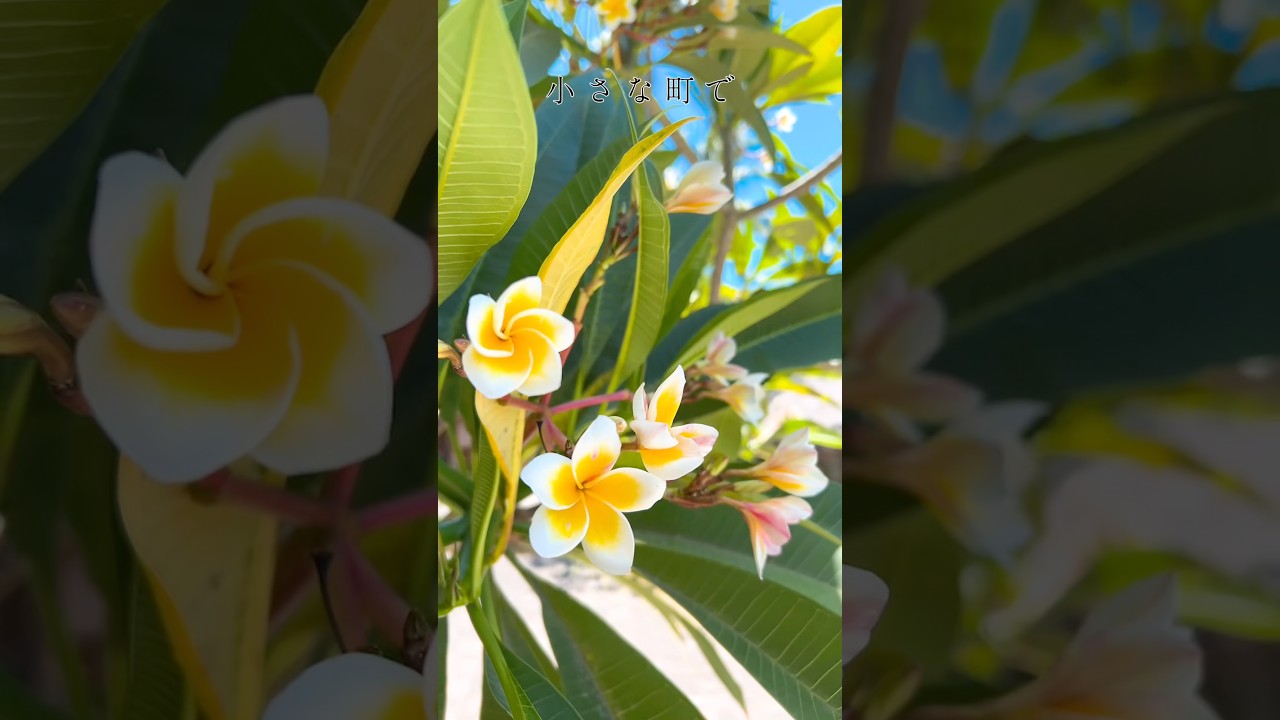 第二弾完結です #polymerclay #ポリマークレイ #フィリピン #国際交流