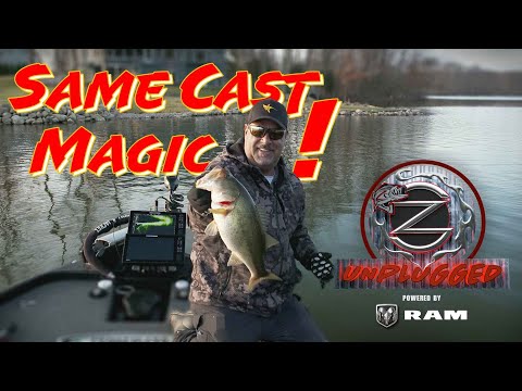Redeye Shad Springtime Bass Fishing Magic -Zona Unplugged Episode #9