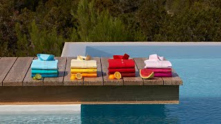 Miniature de la vidéo