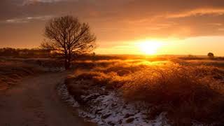 Thyrfing - The slumber of yesteryears (Subtitulado en castellano)