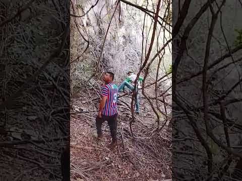 brejinho monte Azul Minas gerais