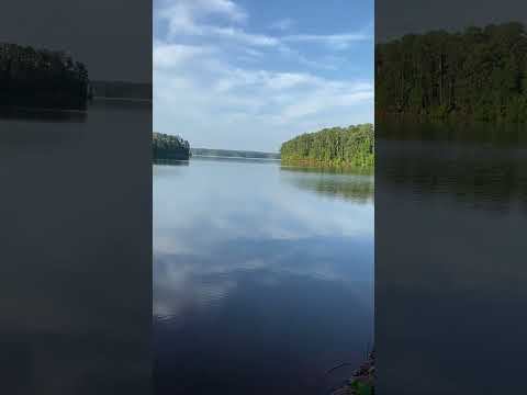 Just look at this 180 degree view of Lake Thurmond!