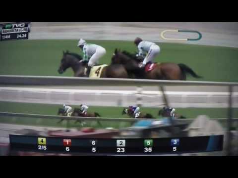 SINORITA S, G3 STAKES $100,000 2017 SIRCAT SALLY !!