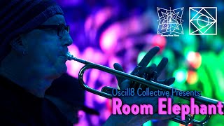 Room Elephant live @ Evolved Movement Arts November 11 2023