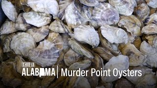 Murder Point: Oysters Worth Killing For | This is Alabama