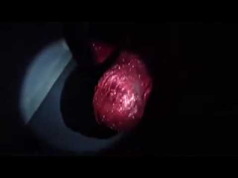 Thumbnail for JORDAN McKENZIE 'Red Haring' by Red McKenzie