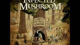 Infected Mushroom_The Legend of The Black Shawarma(Radio Edit)+Lyrics//2009 New Song