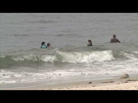 Increased Shark Sightings