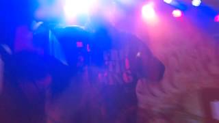 KOTTONMOUTH KINGS- EVERYBODY MOVE LIVE ON A STONEY SATURDAY