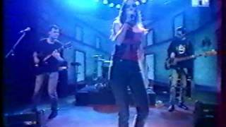 SALAD on a leash  MTV live