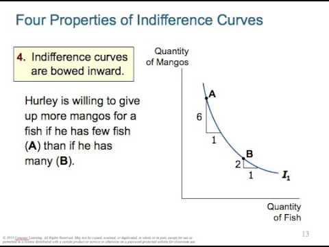 The Theory of Consumer Choice