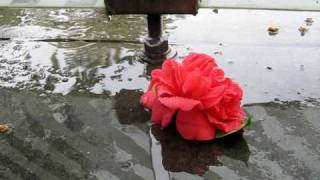 A rainy April Day in San Francisco