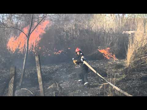 INCONȘTIENȚĂ MAXIMĂ! Cartierul Plopi din Timișoara, la un pas să SARĂ ÎN AER