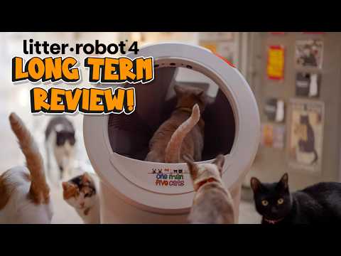 Litter Robot 4 Review - Still the best after 3 YEARS?