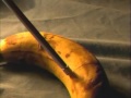 Banana Operation Adult Swim