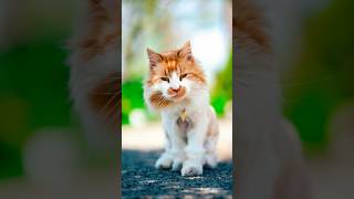 Download lagu Look what I found 👀 | #streetphotography mp3