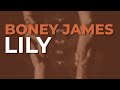 Boney James - Lily (Official Audio)