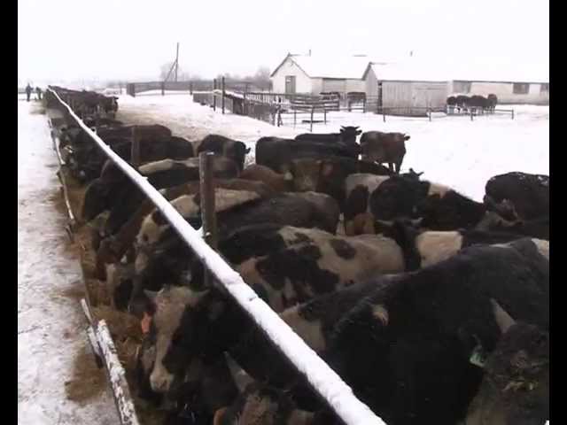 Главное- качественая продукция. 