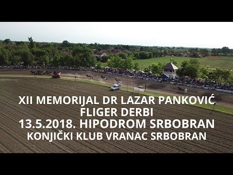 XII Memorijal Dr Lazar Panković, Fliger Derbi - hipodrom Srbobran