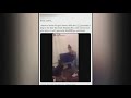 Video Of Girl Punching Dog Sparks Investigation