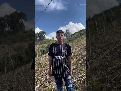 Emprendimiento siembra de frijol Cabrera cundinamarca. Gustavo Niño