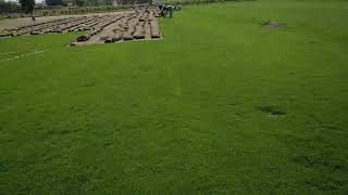 preview picture of video 'Korean best grass farm Gujranwala Pakistan'