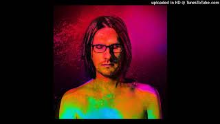 Steven Wilson - A Door Marked Summer