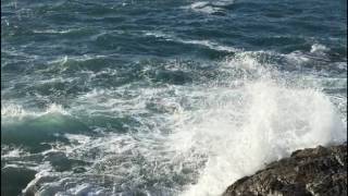 Delroy Edwards - Born Rebels (promo teaser)