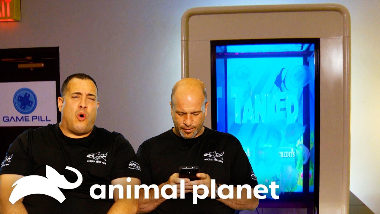 Cellphone Tank with a Working Touchscreen! | Tanked | Animal Planet