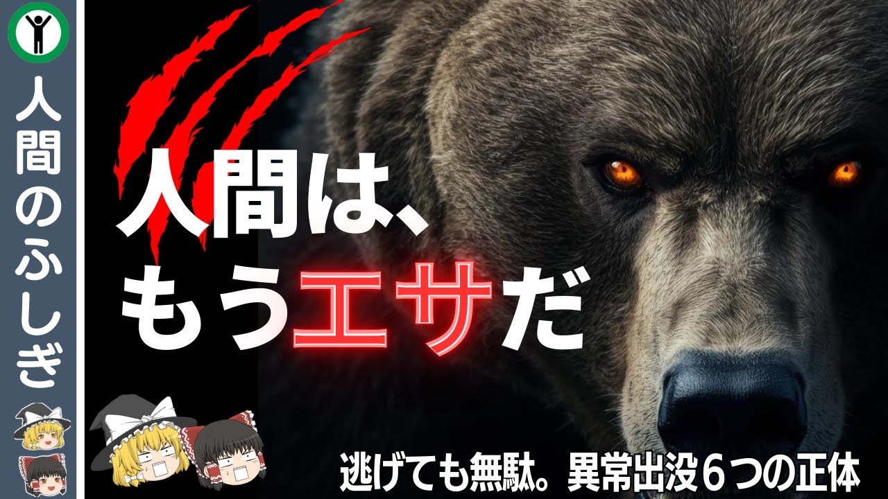 【人間=餌】捕食の為に人間を襲うクマ【命に別状なしの嘘】【ゆっくり解説】