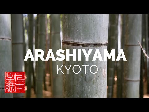 Arashiyama Bamboo Forest in Kyoto - Lett
