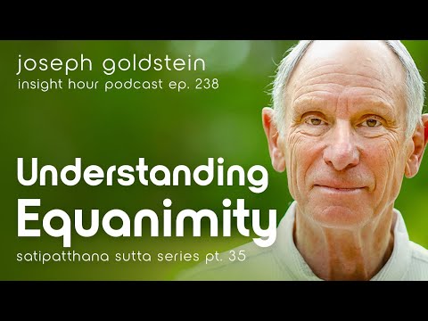 Understanding Equanimity with Joseph Goldstein – Insight Hour Ep. 238 – Satipatthana Sutta Pt. 35